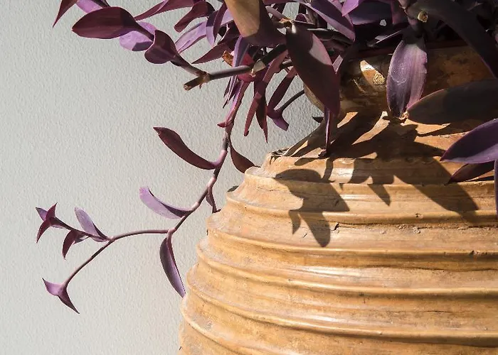 מלון Aegeon פארוס